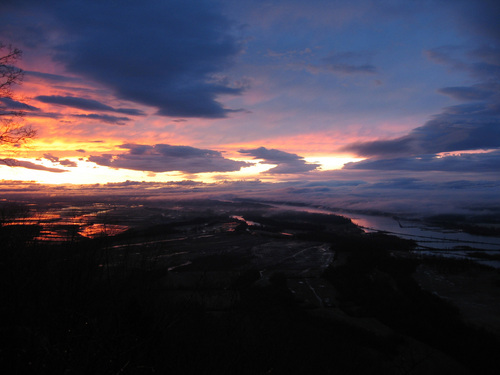 MeredithADavies's profile picture. 