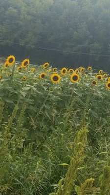 eileenmarie51's profile picture. 