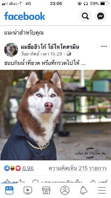 freetom55's profile picture. 