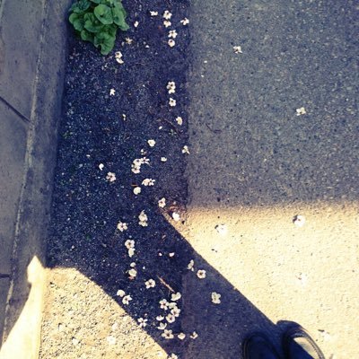 narikirenai3's profile picture. ×