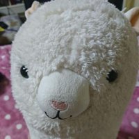 アナルローズ咲かせたい (@zdbinyslagymuhs) Twitter profile photo