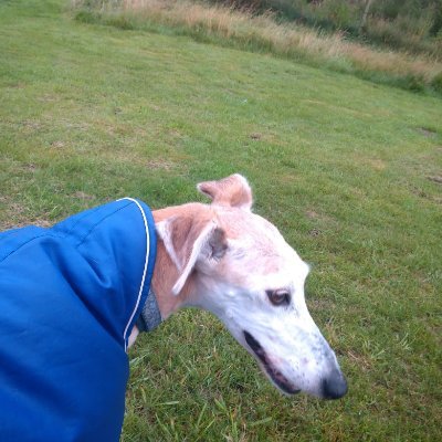 Lordcroker1's profile picture. 