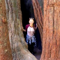 Ms. Confletti (@reamsmusicroom) 's Twitter Profile