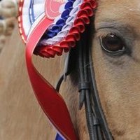 National Schools Equestrian Association (@nseaest1991) 's Twitter Profile