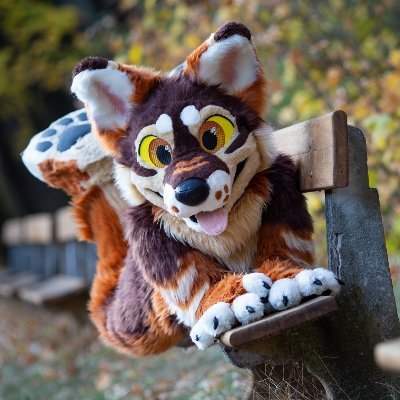 Woyoteさんのプロフィール画像