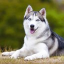 Kerry88good - @kerry88good - Twitter