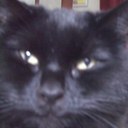 Gemma Wright - @daisy1glitter - Twitter