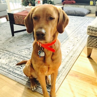 WhatsGoodBmore's profile picture. 