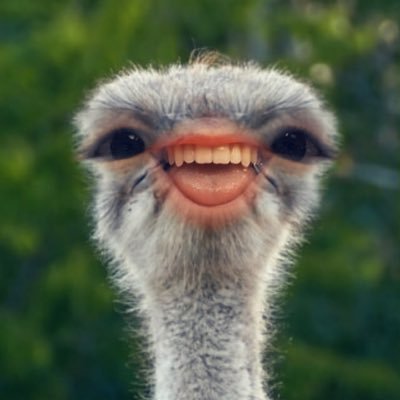 freezpop234's profile picture. Jeff Stoutland university