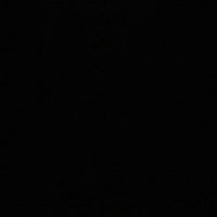 ostpreussen (@pigostpreussen) 's Twitter Profile