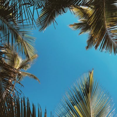 RSVB__'s profile picture. 