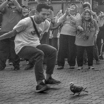 DhedhyY's profile picture. 