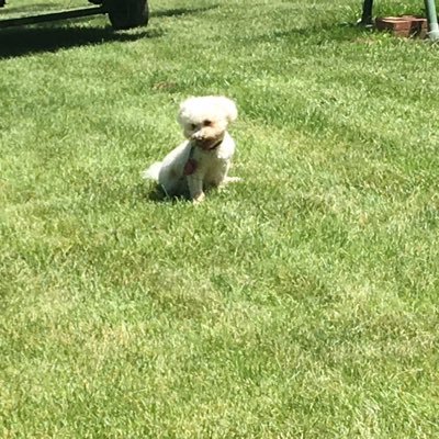 terrulgrew45's profile picture. Teacher