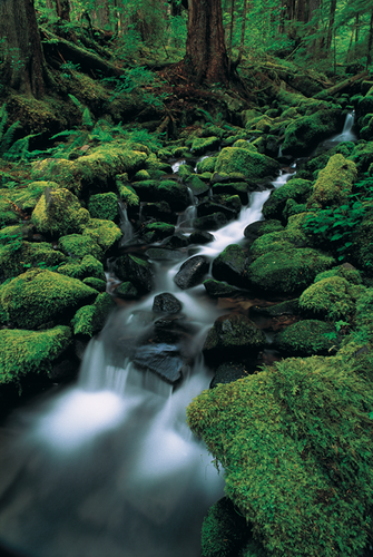 Pmaycott's profile picture. 