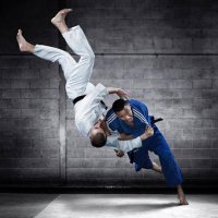 J.W Judo (@jwjudo1) 's Twitter Profile