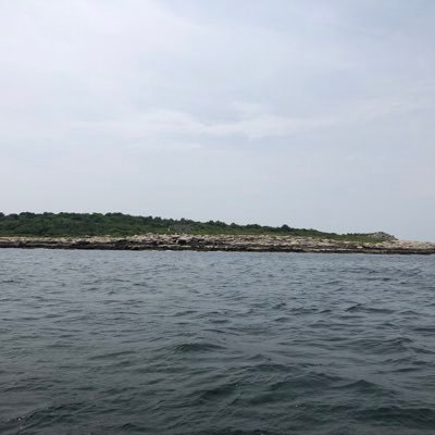 avid42's profile picture. 