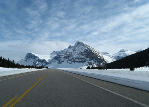 PetV's profile picture. Capacity Projection Executive