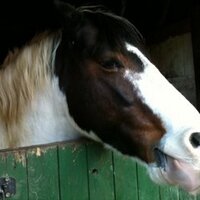 Rosie Nesbitt (@rosieflare) 's Twitter Profile