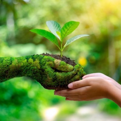 Anna11043744's profile picture. 