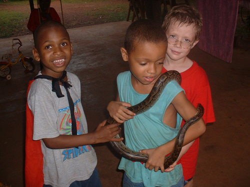 IM AN AFRICAN