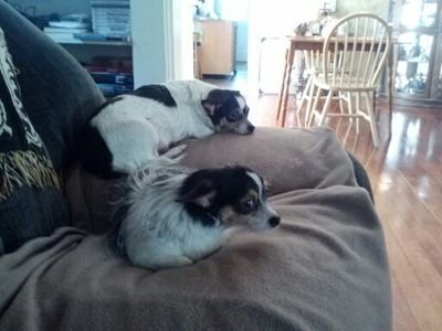 CarlaCulver's profile picture. 