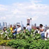 Urban Greening News (@greeningnews) 's Twitter Profile Photo Urban Greening News (@greeningnews) 's Twitter Profile Photo