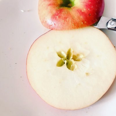 りんご🍎 (@ringo52919ringo) / X