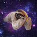 One Slothy Boi (@oneslothyboi1) Twitter profile photo One Slothy Boi (@oneslothyboi1) Twitter profile photo