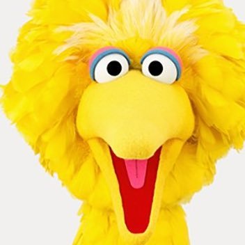 Follow or big bird will be in your closet #parodyaccount (this is all jokes fbi plz don’t kill me) parody account don’t ban me Elon