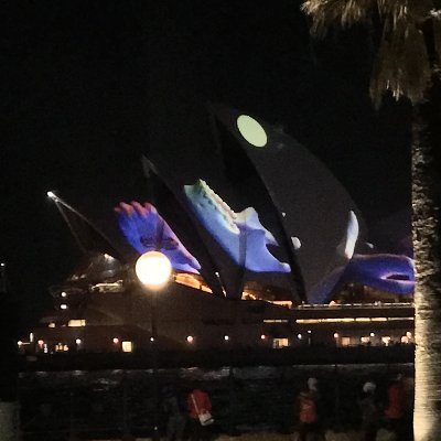 _bonolata's profile picture. 