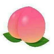 parallelworld_w's profile picture. 福山雅治🎸 ☆ TEAM NACS🐴🦌 ☆ 男闘呼組😏🤠😎🤓 ☆ Rockon Social Club🤘 ☆ NARITA THOMAS SIMPSON ☆