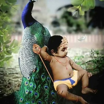 vtcveera's profile picture. accounting