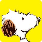 Anna Kawamura (@donot_eat_anco) 's Twitter Profile Photo