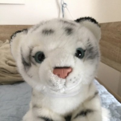 8fmesXsx8d0gpcp's profile picture. ふちゅー1Bバスケ部