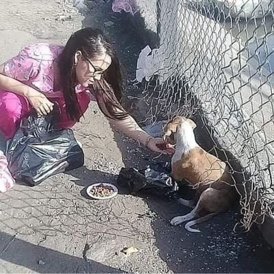 animalista -rescatista hace 6 años tenemos refugio 13 perros rescatados todos con una historia para contar