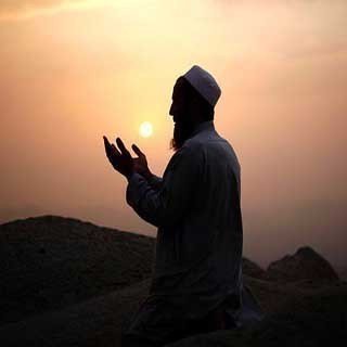 Aayed_Amir's profile picture. Political Theory | Human Rights | Alternative Economics | Environmental Politics