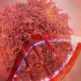 Cancer 2020 (@fm_cancer) 's Twitter Profile Photo