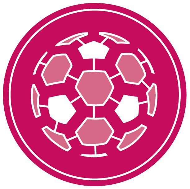 SerieA, Premier, Liga, Ligue1, Bundesliga: 3 milioni di tocchi di palla registrati. Pronti ad analizzarli?
11 ott 2019 - 19.30 - Trento, Festival dello Sport