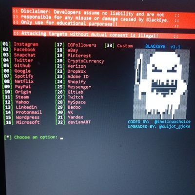 NxllPackets's profile picture. Kali Linux is key to making coding easier!