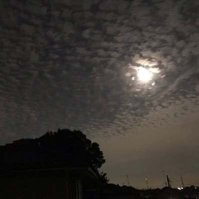 tihaya_nao's profile picture. 