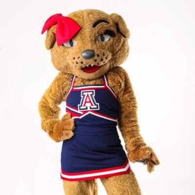 This is the official twitter for the one & only Wilma T. Wildcat! Instagram: azwilmawildcat