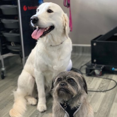 SimmonsSusan's profile picture. 