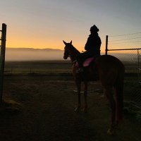 Tash Burleigh (@njburleigh) 's Twitter Profile