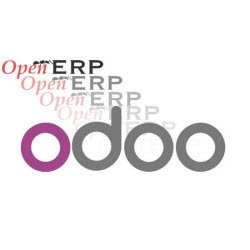 OpenERP Asia