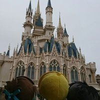 トドロキ (@sqtodoroki) 's Twitter Profile
