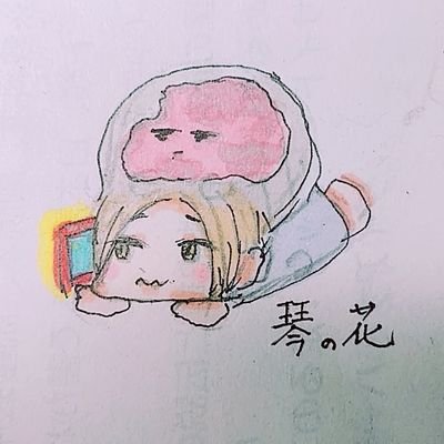 琴の花さんのプロフィール画像