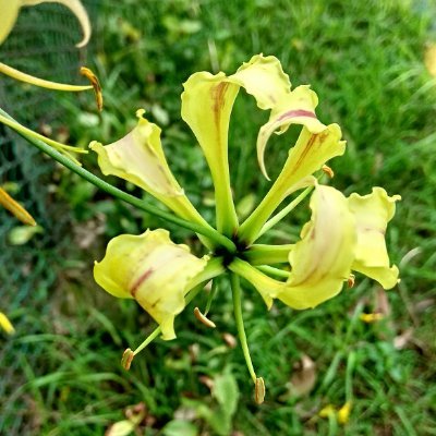 Saurabh04603931's profile picture. Naturalist