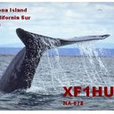 MANUEL PALOS - @PESCADOR73 - Twitter