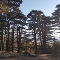 S . Rouillé-Mirza (@srouillemirza) 's Twitter Profile