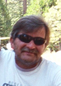 Combat Veteran, Vietnam, Gulf War, Bronze Star, Meritorious Service Medal recipient, Microsoft Certified, Republican, Dad, Grandfather